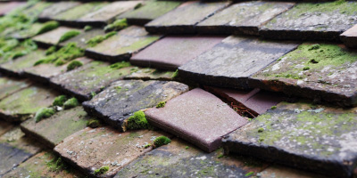 Hail Weston roof repair costs